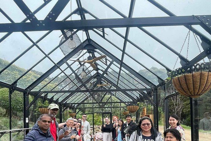 Auckland Ferry Day to Waiheke: Cable Bay, Batch, Stonyridge and Mudbrick Vineyards (10/12)