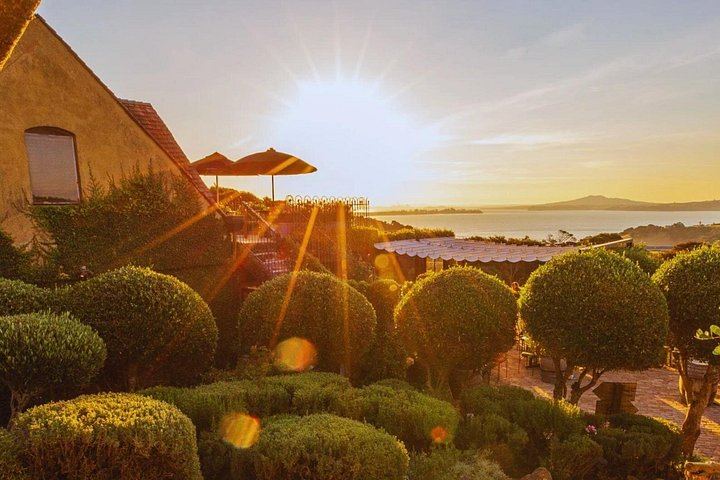 Waiheke Taste and Graze: 10 Guests, Mudbrick, Whisky at The Heke, Olive Grove Lunch (10/12)