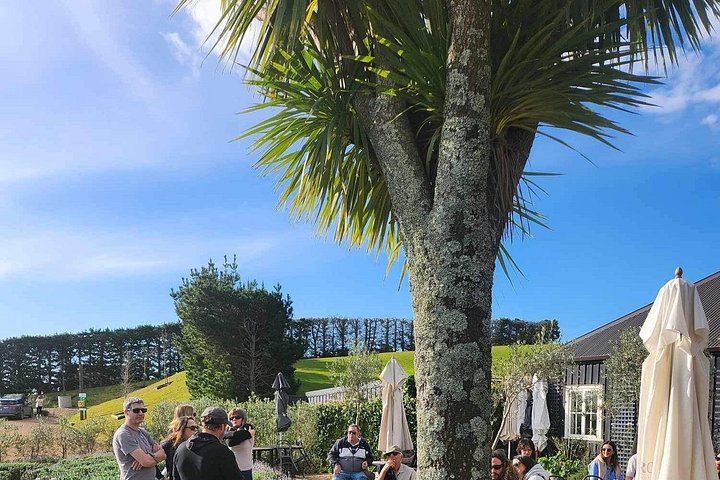 Waiheke Taste and Graze: 10 Guests, Mudbrick, Whisky at The Heke, Olive Grove Lunch (11/12)