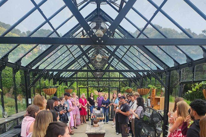 Waiheke Island Wine Tour from Auckland: 3 Vineyards and Beachfront Lunch (5/12)
