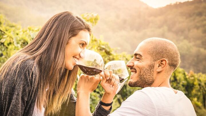 Private 8-Hour Napa and Sonoma Wine Tour from San Francisco by XL SUV (1/12)
