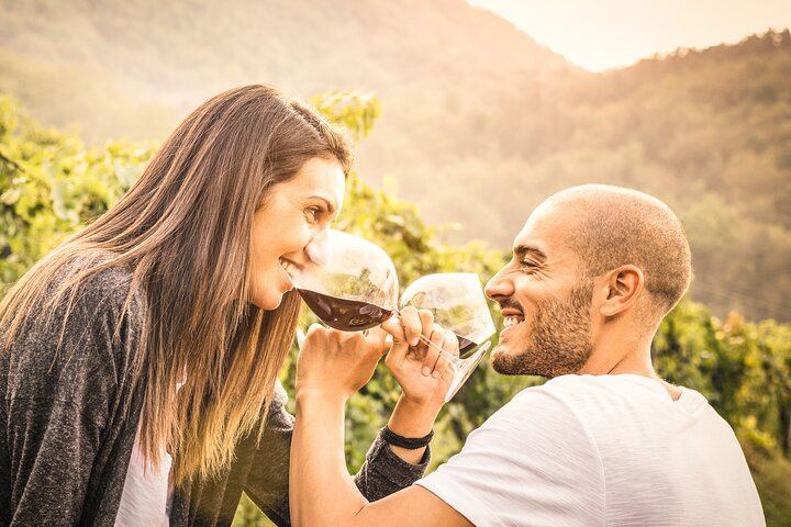 Private 8-Hour Napa and Sonoma Wine Tour from San Francisco by XL SUV (1/12)