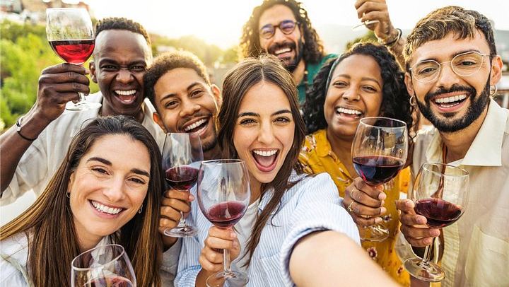 Small-Group Napa and Sonoma Wine Tour: Artesa, Jacuzzi Family Vineyards, Sonoma Plaza (1/12)