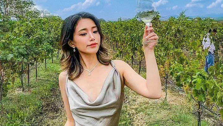 Small-Group Napa and Sonoma Wine Tour: Artesa, Jacuzzi Family Vineyards, Sonoma Plaza (2/12)