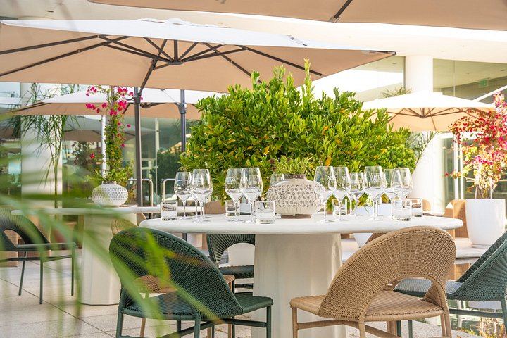 Small-Group Napa and Sonoma Wine Tour: Artesa, Jacuzzi Family Vineyards, Sonoma Plaza (8/12)