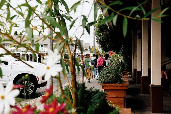 Small-Group Napa and Sonoma Wine Tour: Artesa, Jacuzzi Family Vineyards, Sonoma Plaza (7/12)
