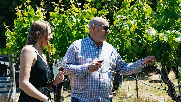 Gray Line Full-Day Napa and Sonoma Wine Country Tour from San Francisco (4/12)
