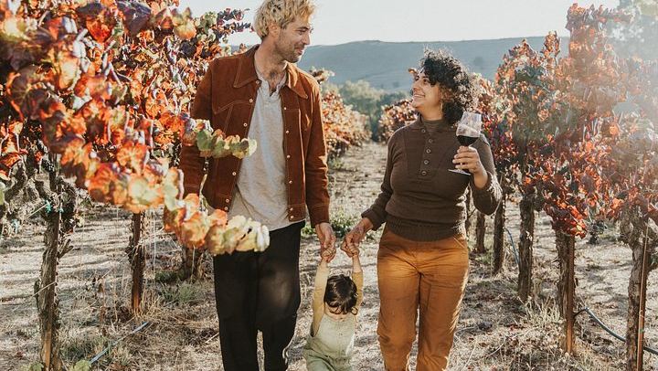 Napa and Sonoma Wine Tour from San Francisco with Two-Hour Sonoma Square Lunch Break (4/9)