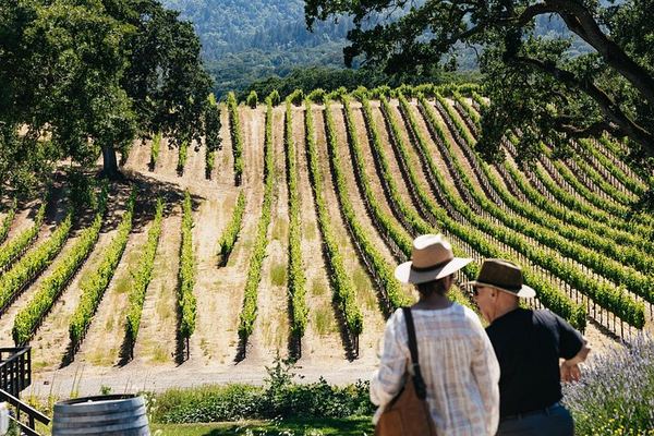 Gray Line Full-Day Napa and Sonoma Wine Country Tour from San Francisco