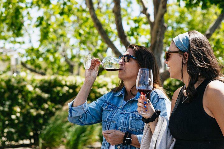 Gray Line Full-Day Napa and Sonoma Wine Country Tour from San Francisco (5/12)