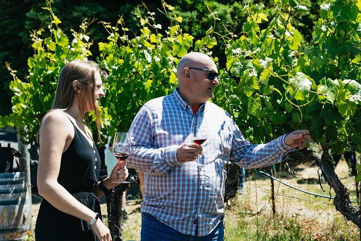 Gray Line Full-Day Napa and Sonoma Wine Country Tour from San Francisco (4/12)