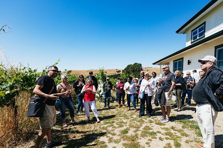Gray Line Full-Day Napa and Sonoma Wine Country Tour from San Francisco (12/12)