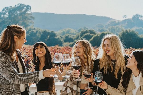 Napa and Sonoma Wine Tour from San Francisco with Two-Hour Sonoma Square Lunch Break