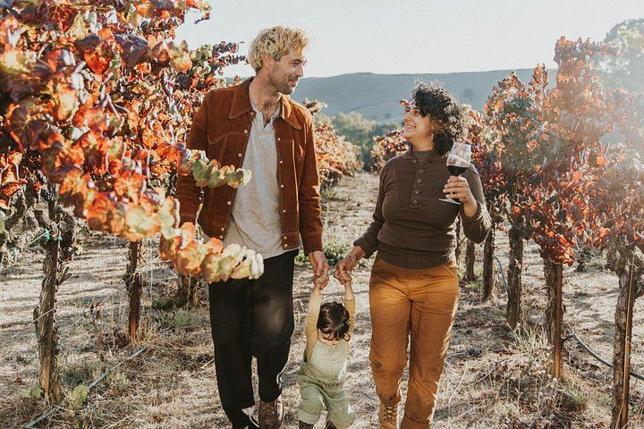 Napa and Sonoma Wine Tour from San Francisco with Two-Hour Sonoma Square Lunch Break (4/9)