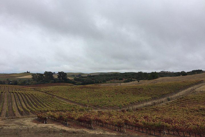 Apex Wine Tours: Private 6-Hour Lincoln MKT Stretch Limo Tour of Napa or Sonoma (7/12)