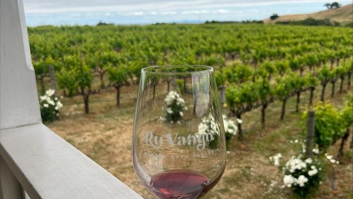 Napa and Sonoma Guided Wine Tour with Flights of 3 to 5 Tastings per Winery (4/8)