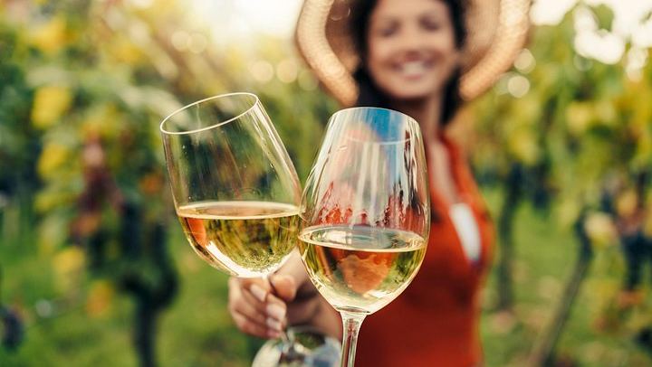 Napa and Sonoma Guided Wine Tour with Flights of 3 to 5 Tastings per Winery (1/8)