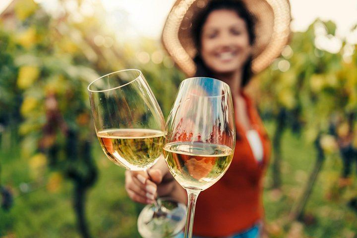 Napa and Sonoma Guided Wine Tour with Flights of 3 to 5 Tastings per Winery (1/8)