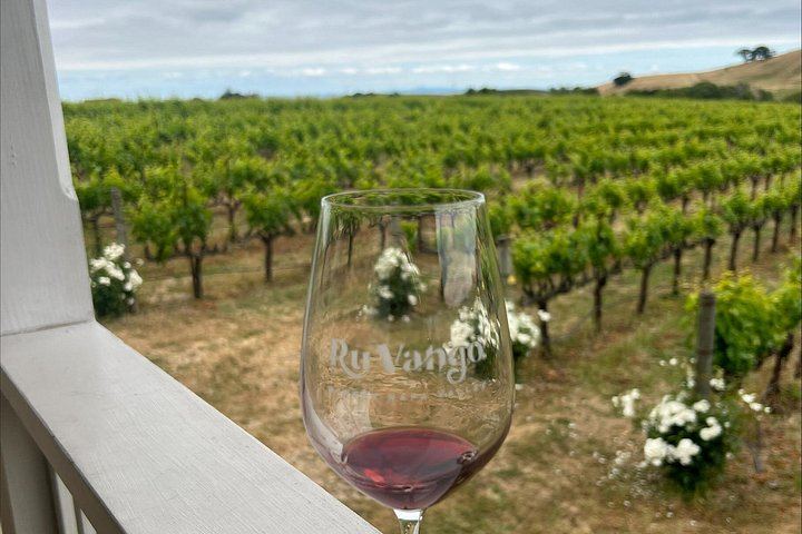 Napa and Sonoma Guided Wine Tour with Flights of 3 to 5 Tastings per Winery (4/8)