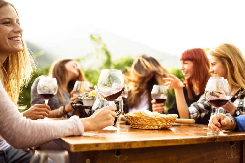 Napa and Sonoma Valley Wine Tour from Fisherman's Wharf, Half-Day or Full-Day (3/7)