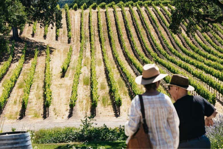 Napa and Sonoma Valley Wine Tour from Fisherman's Wharf, Half-Day or Full-Day (4/7)