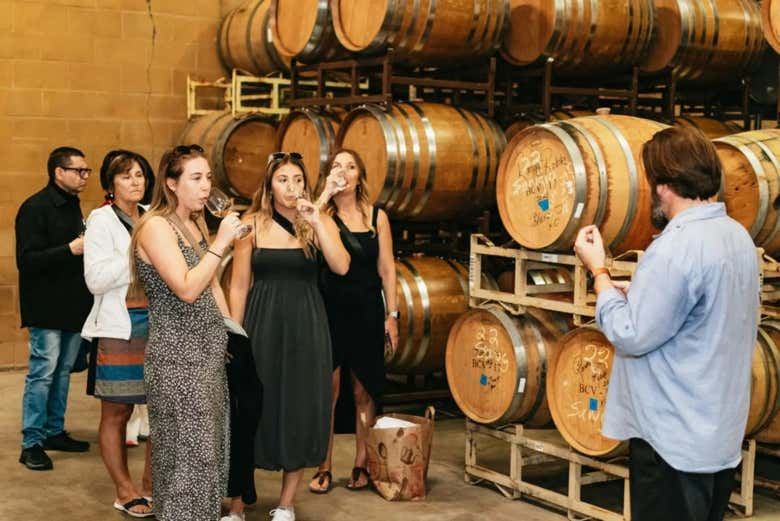 Napa and Sonoma Valley Wine Tour from Fisherman's Wharf, Half-Day or Full-Day (5/7)