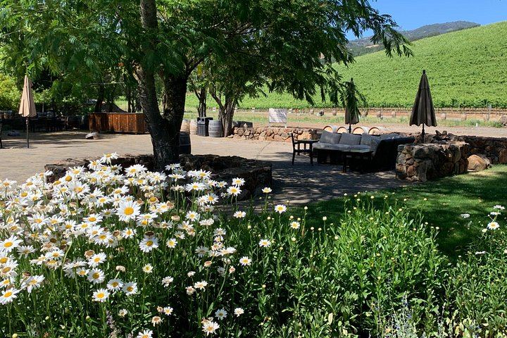 Private Customized Napa and Sonoma Wine Tour, 6 to 8 Hours in an XL SUV (1/12)