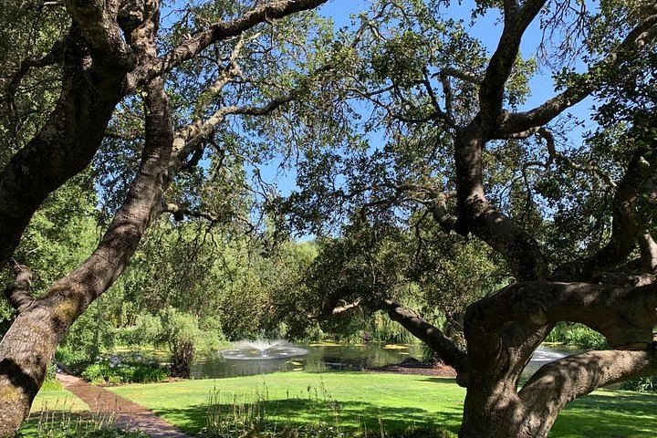 Private Customized Napa and Sonoma Wine Tour, 6 to 8 Hours in an XL SUV (12/12)