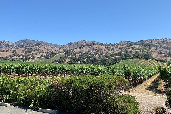 Private Customized Napa and Sonoma Wine Tour, 6 to 8 Hours in an XL SUV (5/12)