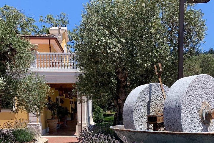 Private Customized Napa and Sonoma Wine Tour, 6 to 8 Hours in an XL SUV (8/12)