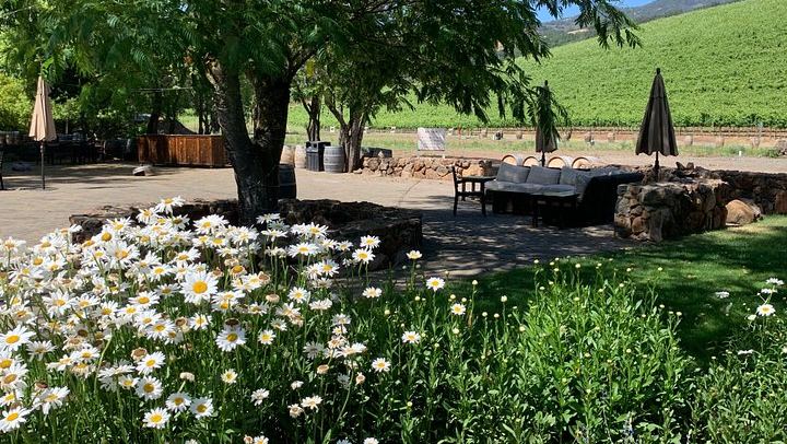 Private Customized Napa and Sonoma Wine Tour, 6 to 8 Hours in an XL SUV (1/12)