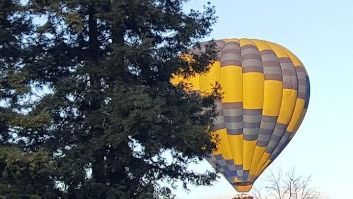 Private Napa and Sonoma Wine Country Tour for Up to 6 Guests per Vehicle (2/5)
