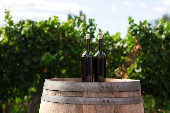 Private Napa and Sonoma Wine Country Tour for Up to 6 Guests per Vehicle (1/5)