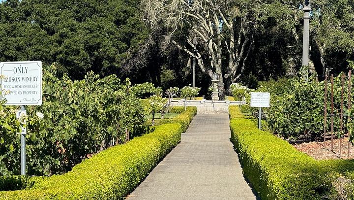Napa Valley and Sonoma 6-Hour Private Luxury Wine Tour with Airport Transfers (3/5)