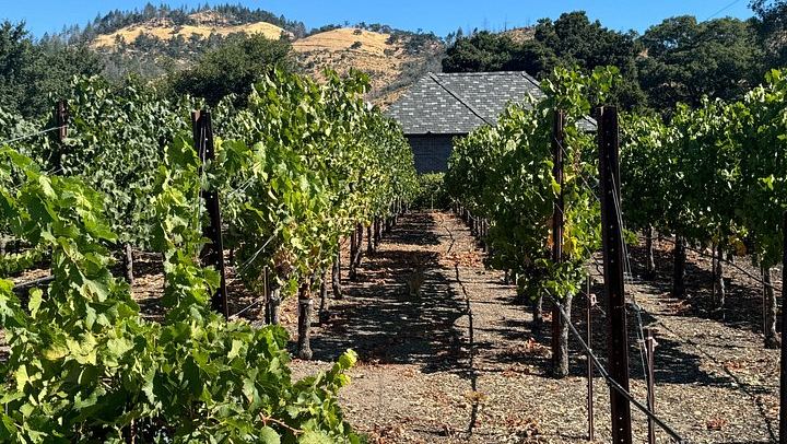 Napa Valley and Sonoma 6-Hour Private Luxury Wine Tour with Airport Transfers (2/5)