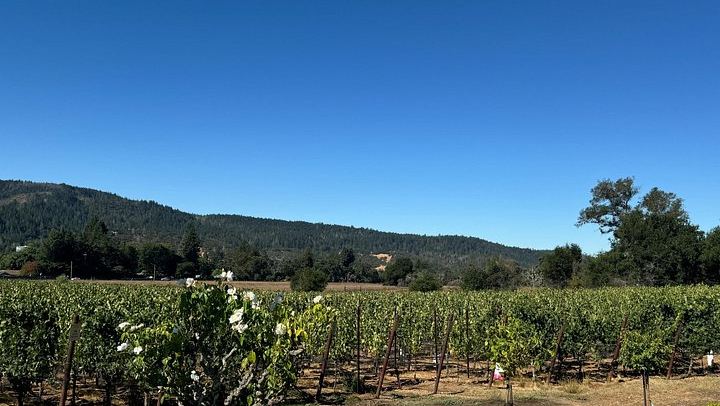 Napa Valley and Sonoma 6-Hour Private Luxury Wine Tour with Airport Transfers (4/5)