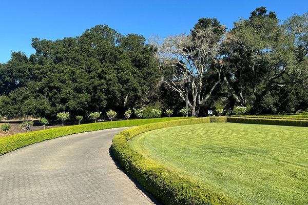 Napa Valley and Sonoma 6-Hour Private Luxury Wine Tour with Airport Transfers