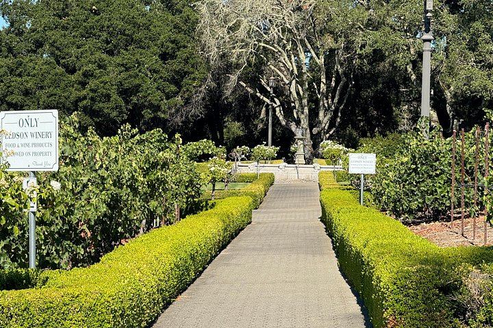 Napa Valley and Sonoma 6-Hour Private Luxury Wine Tour with Airport Transfers (3/5)