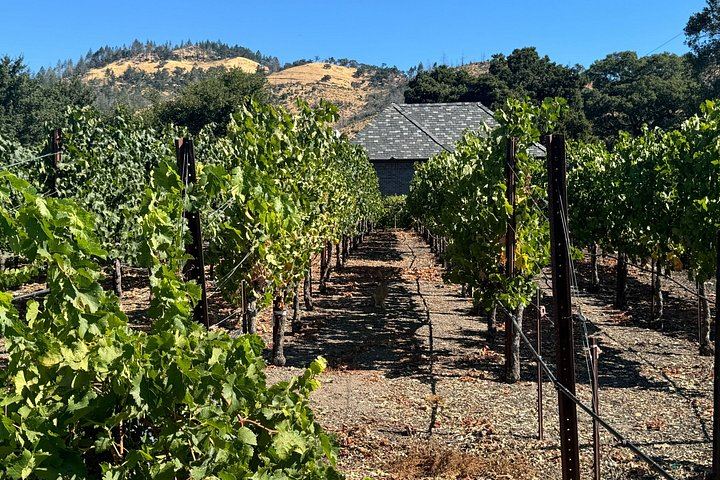 Napa Valley and Sonoma 6-Hour Private Luxury Wine Tour with Airport Transfers (2/5)