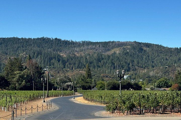 Napa Valley and Sonoma 6-Hour Private Luxury Wine Tour with Airport Transfers (5/5)