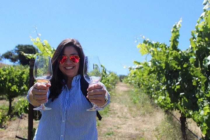 Small-Group Napa Day Trip from San Francisco: Castello di Amorosa and Artesa (6/6)