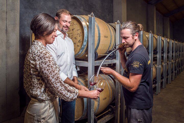 Marlborough Afternoon Wine Tour: Winery Lunch and Two Cellar Doors (7/12)
