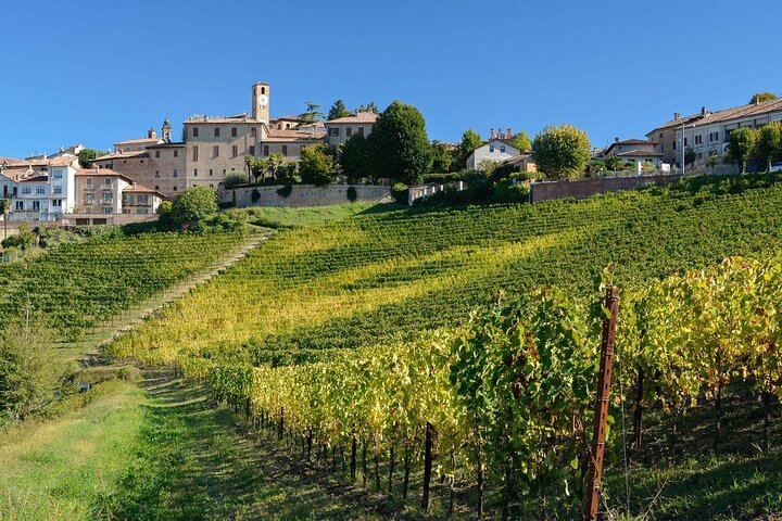Private Vespa Tour from Alba through the Barolo and Barbaresco Hills with a Pro Guide (7/10)
