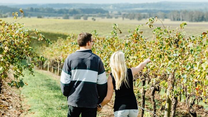 Small-Group Hunter Valley Wine Tour from Newcastle with Distillery and Lunch Stop (3/12)