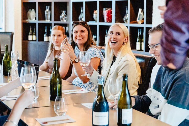 Small-Group Hunter Valley Wine Tour from Newcastle with Distillery and Lunch Stop (1/12)