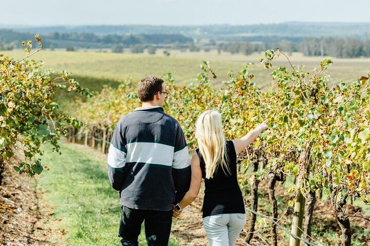 Small-Group Hunter Valley Wine Tour from Newcastle with Distillery and Lunch Stop (3/12)