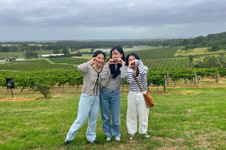 Small-Group Hunter Valley Wine Tour from Newcastle with Distillery and Lunch Stop (9/12)