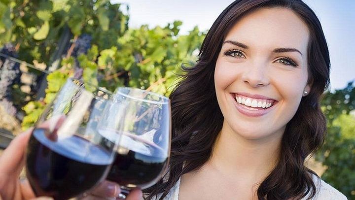 Niagara-on-the-Lake Small Group Wine Tour: 3 Wineries and Picnic Lunch, 5.5 Hours (1/11)