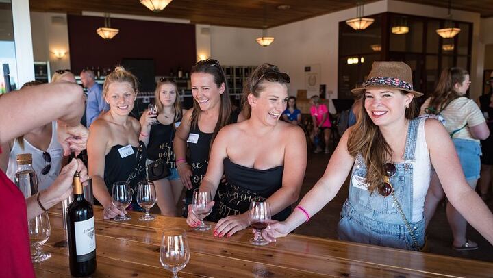 Niagara-on-the-Lake Small Group Wine Tasting: 3 Wineries, Morning or Afternoon (4/11)