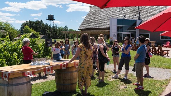 Niagara-on-the-Lake Small Group Wine Tasting: 3 Wineries, Morning or Afternoon (3/11)